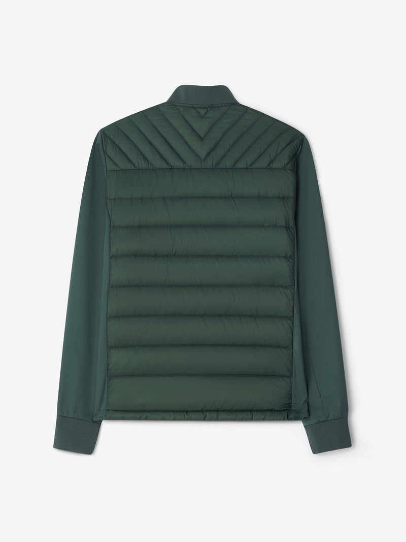 M_Hybrid_Jacket_Jungle_Green_BACK_CROSS-SPORTWEAR